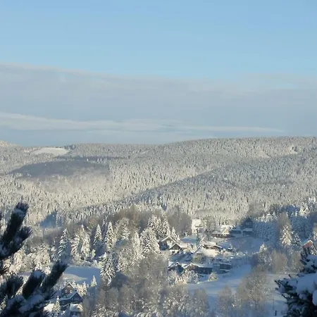 Apartment Körnerberg Klingenthal