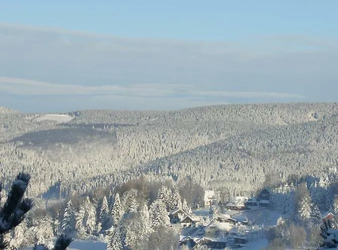 Apartmán Koernerberg Klingenthal